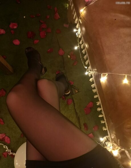 Mytightfashion beste pornographische galerien