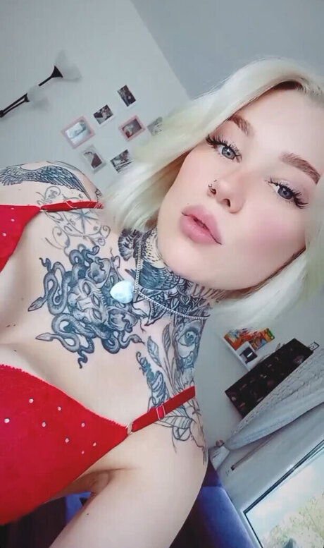 Typischblonnd Bilder