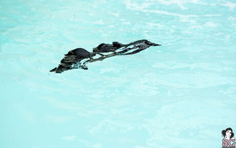 aus onlyfans xxx erotische bild