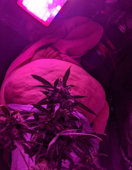 strawberry cakes heiße porno bilder