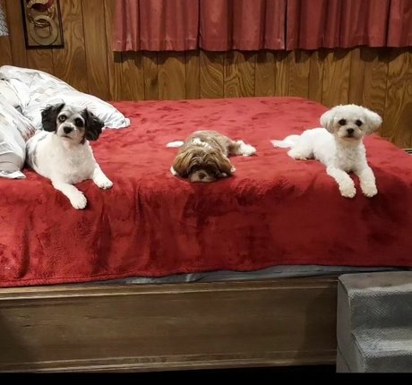 LanaRN schöne nackte galerie