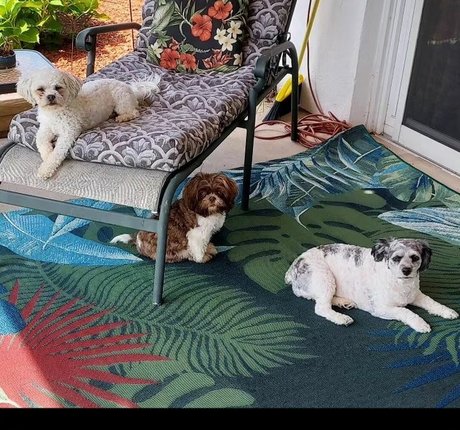 LanaRN porno heiße bild