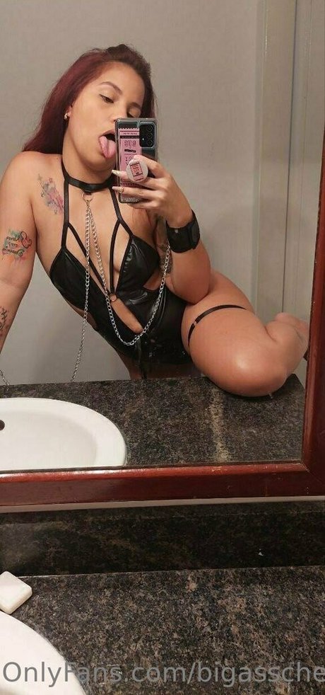 bigasschels hübsche perfekte archiv