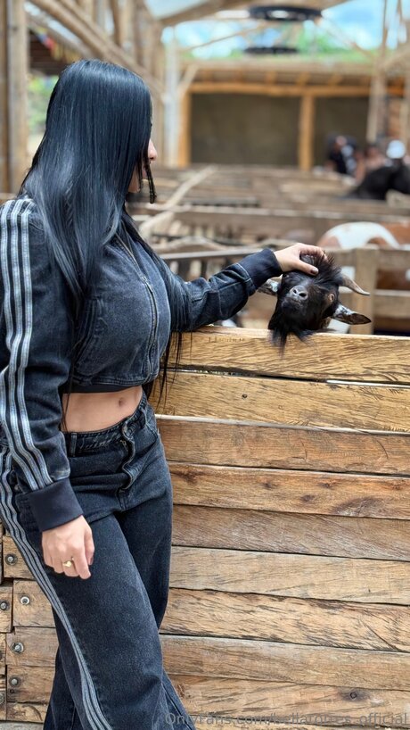 bellatorres official pornostar freie archiv