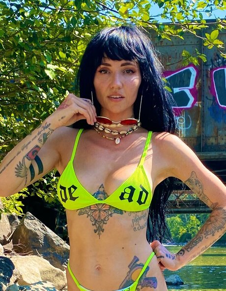 Lights Poxleitner Profilbild