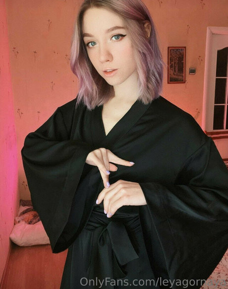 leaygornaya perfekte kunst galerie