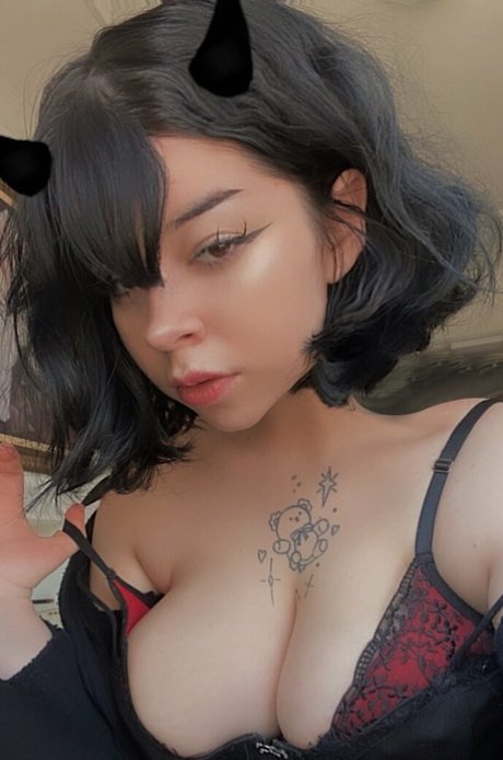 Violety fox Profilbild