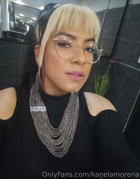 kanelamorena perfekte erotische galerien