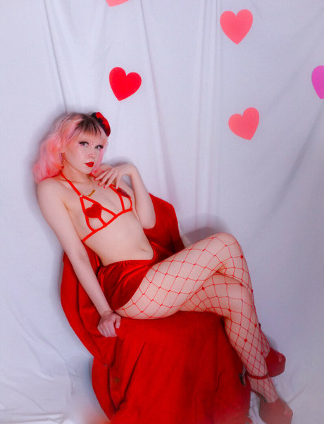 lawlietigerpony top nette bild