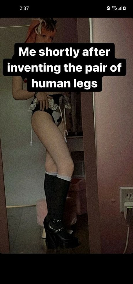 lawlietigerpony heiße kunst foto