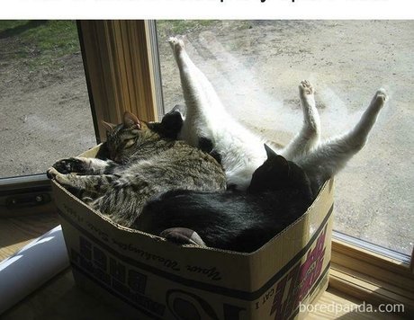 sweet kte kostenlose erotische bilder