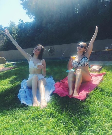 Doddleoddle perfekte archiv