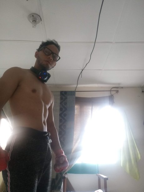 levii schöne archiv