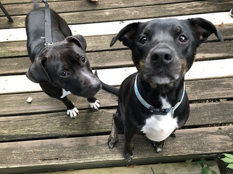 u7984023 hübsche nette archiv