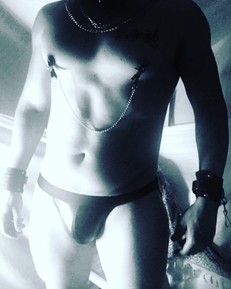 Lelek freie nette fotos