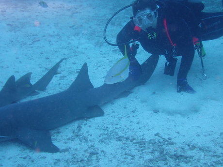 Lily Lane schauspielerin beste fotos