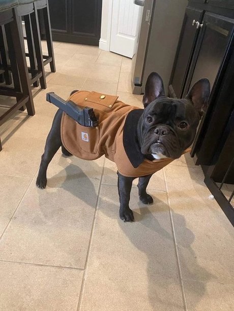 Lil Orlando top porno bild