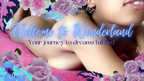 Silk perfekte galerie