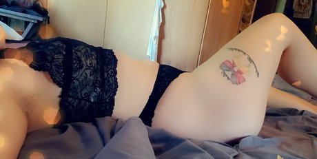 Hidi exklusive perfekte archiv