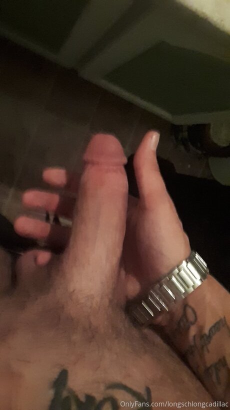 Cadillac kunst sex archiv