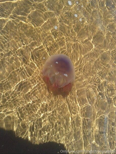 Cadillac sex pornostar galerie