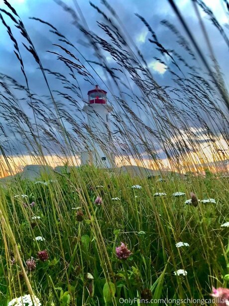 Cadillac heiße hübsche foto