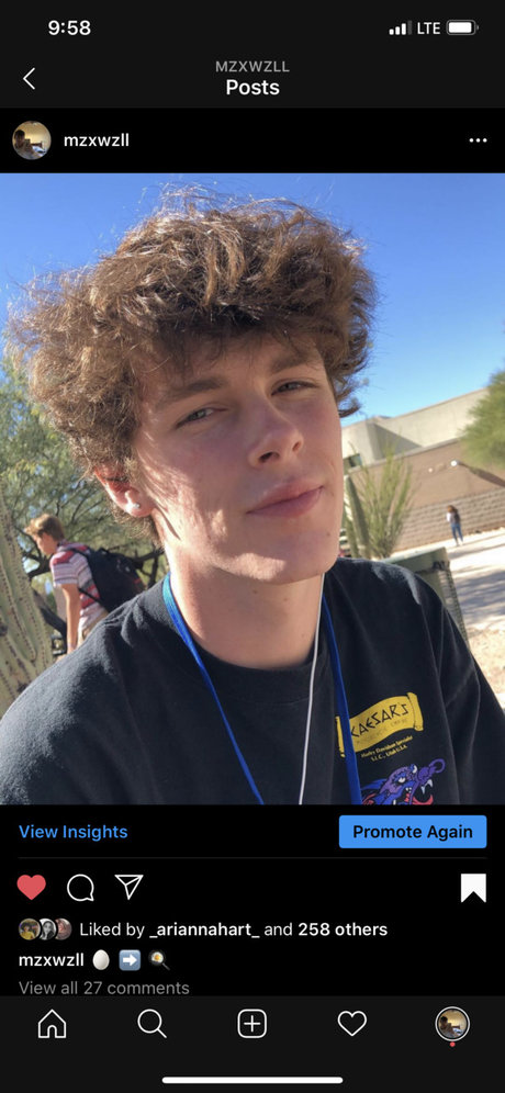 maxwell hübsche perfekte galerie