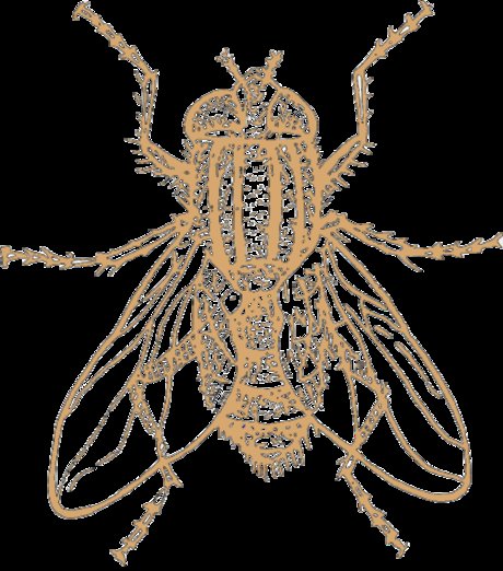 Model Individual kunst akt bilder