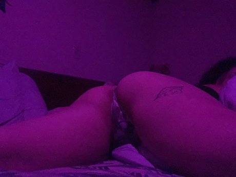 mocitydomm schöne nette galerie