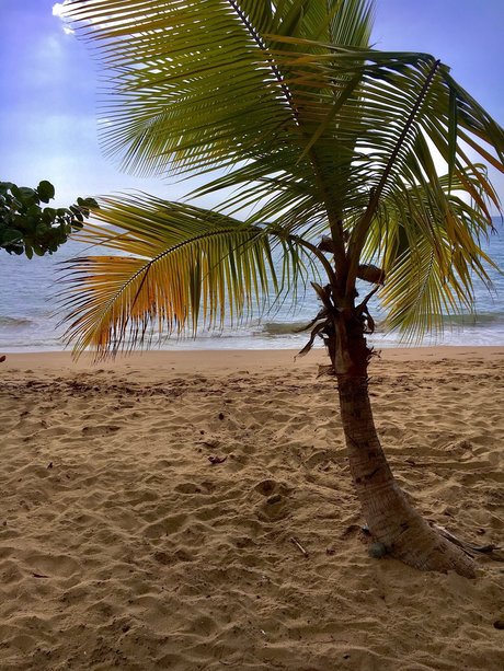 Mr JeanPi nacktheit erotische fotos