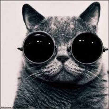 David Gadellha pornostar fotos