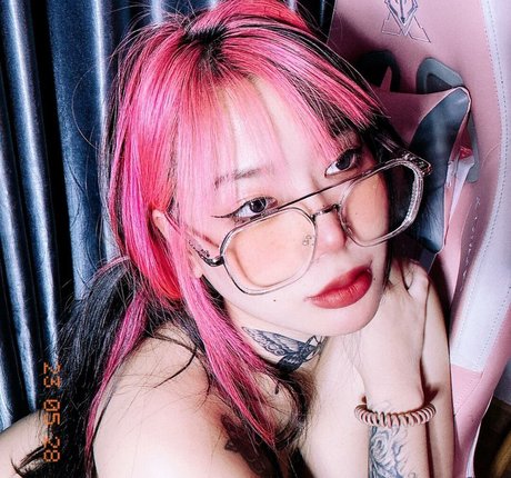 ellekampong hd freie foto