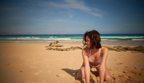 Joliette s Island Adventures Profilbild