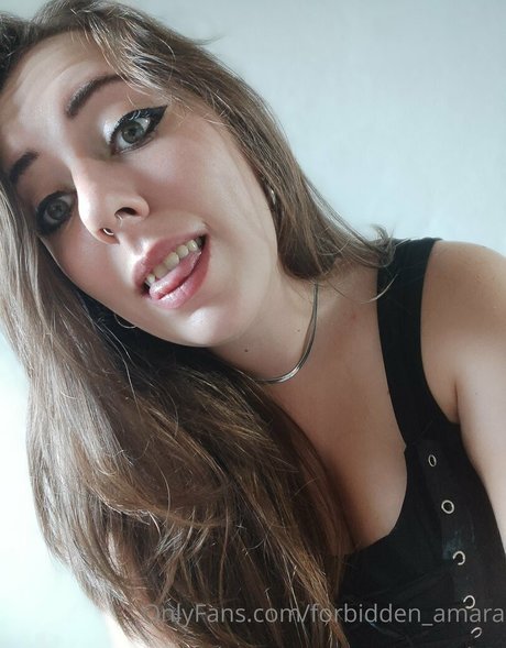 forbidden amara kunst hübsche galerien