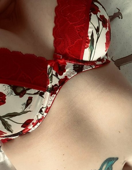 khariscurves schöne freie foto