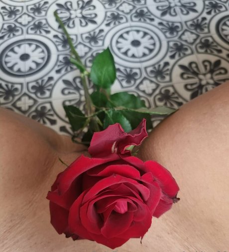 mystic kitty90 sexy pornostar archiv