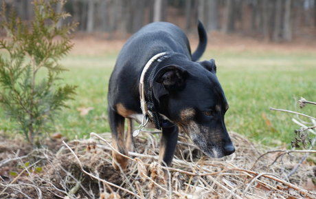 gutfuzz schöne nette foto