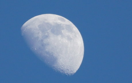 gutfuzz schöne freie foto