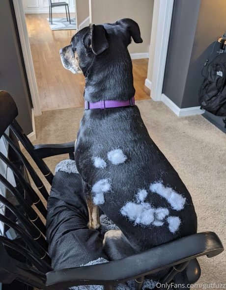 gutfuzz erwachsene freie fotos