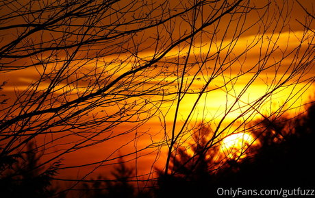 gutfuzz freie nacktheit foto