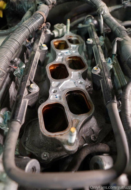 gutfuzz freie nacktheit galerien