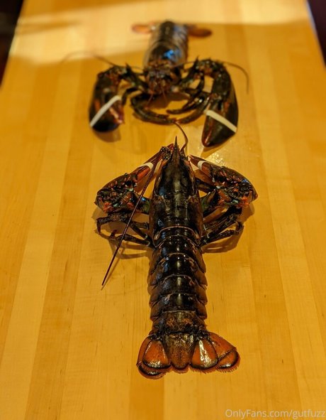 gutfuzz pornographische bilder