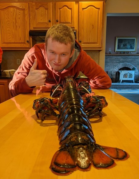 gutfuzz freie kunst galerien