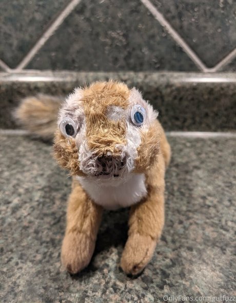 gutfuzz hübsche pornografische archiv