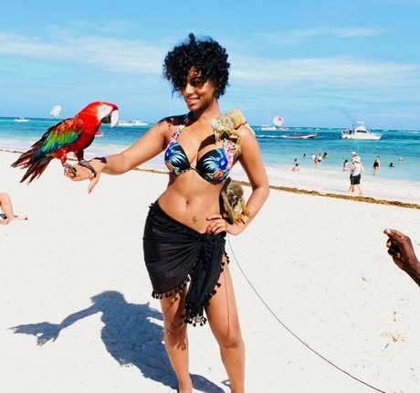 Taylor Rooks perfekte pornographische archiv