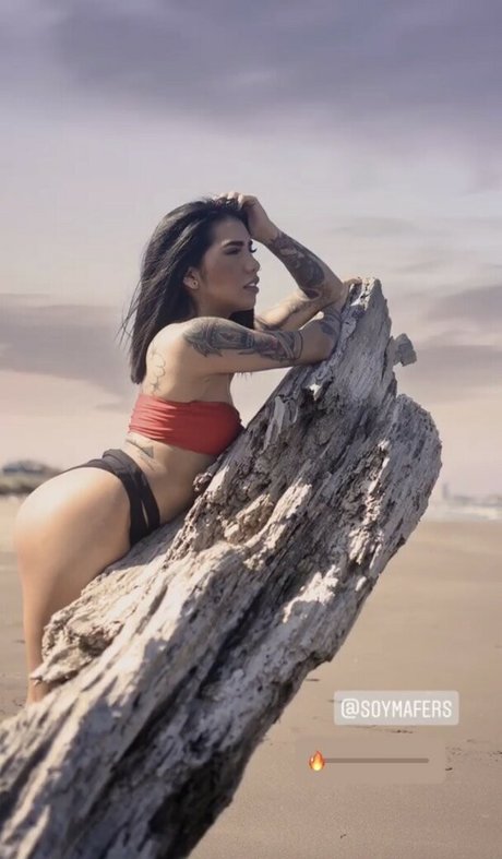 Fernanda Garcia exklusive schöne galerien