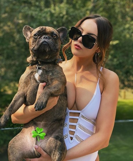 yoga-onlyfans schöne perfekte bild