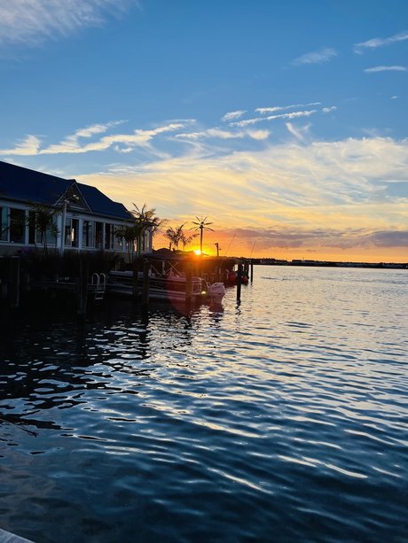 OceanTan xxx kunst galerie