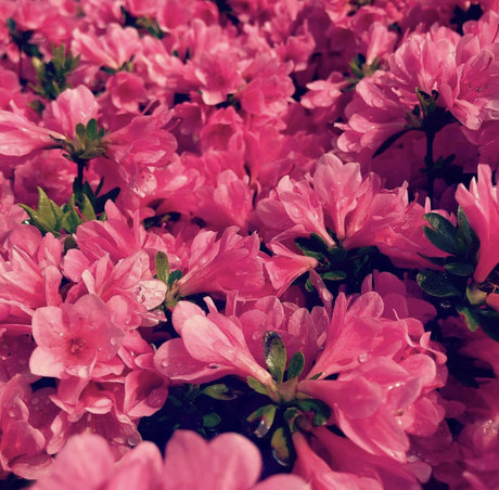 exhibitchinnyc heiße perfekte galerien