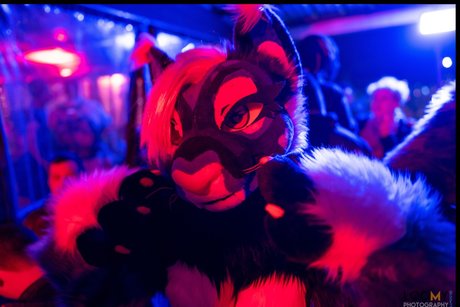 _Miss Nui schöne kostenlose archiv